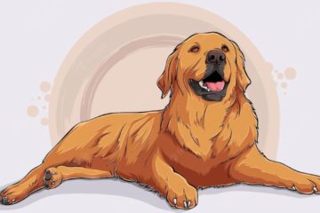 Tuổi Tuất chọn đèn chiếu sáng như thế nào là hợp mệnh?